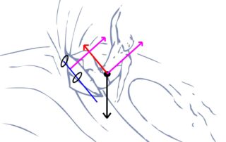 Les pieds du surfeur (et ses jambes) résistent à la planche qui tente de se comprimer sur le surfeur.