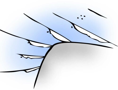 Différents Spots et Types de Vagues