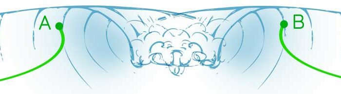 La règle de base est un seul surfeur par vague. Cependant, une vague peut être partagée si les directions sont opposées.