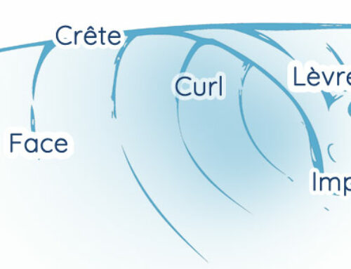 Anatomie d’une Vague de Surf