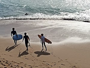 Ecole.Surf - Guide Moniteur Landes et Pays Basque place picture